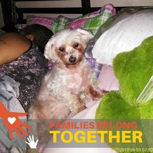 Meet your Posher, Miriam